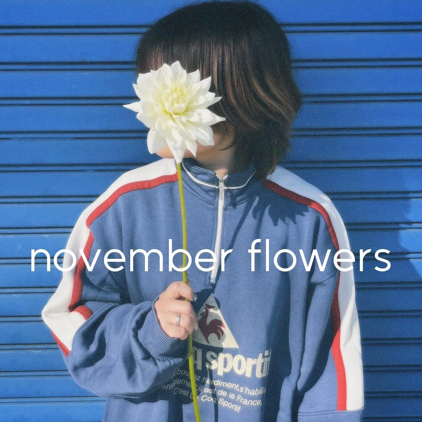 🌿november flowers🌿